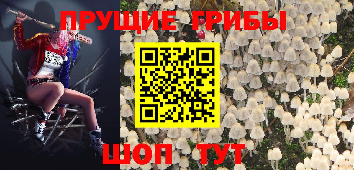 Галлюциногенные грибы MAGIC MUSHROOMS  Вход с VPN  где продают наркотики  Гагарин  Псилоцибиновые грибы мухоморы 
